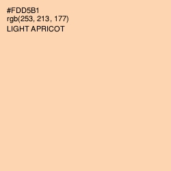 #FDD5B1 - Light Apricot Color Image